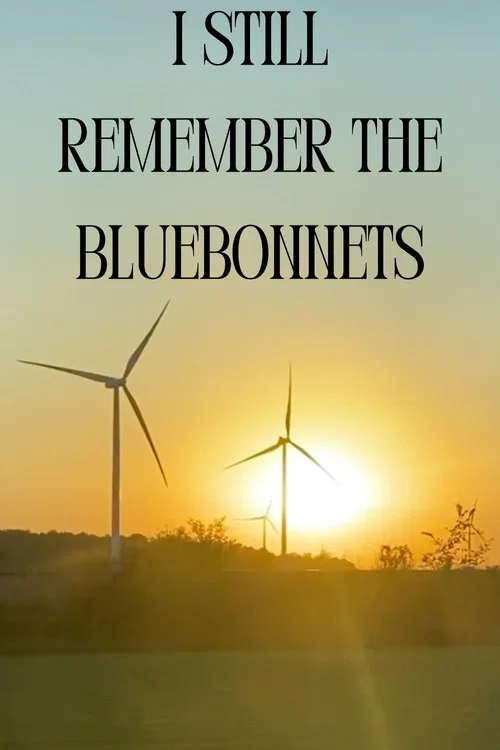 I Still Remember The Bluebonnets постер