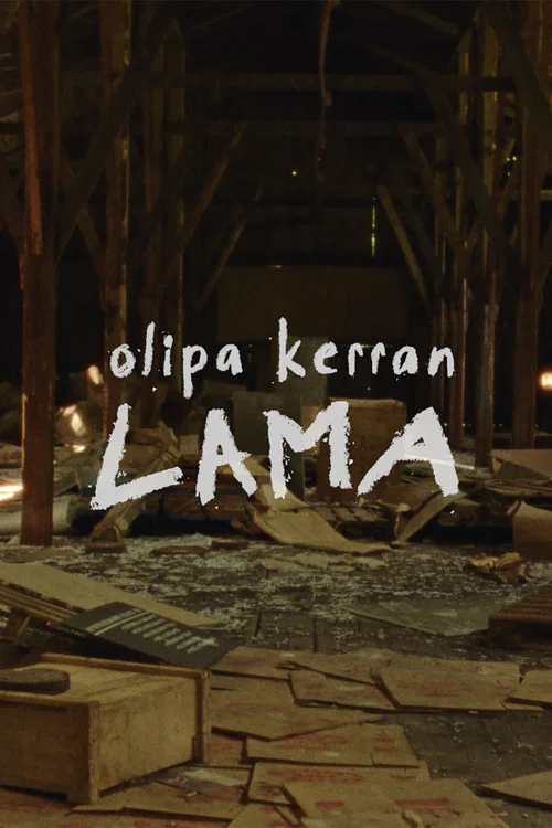 Olipa kerran lama постер