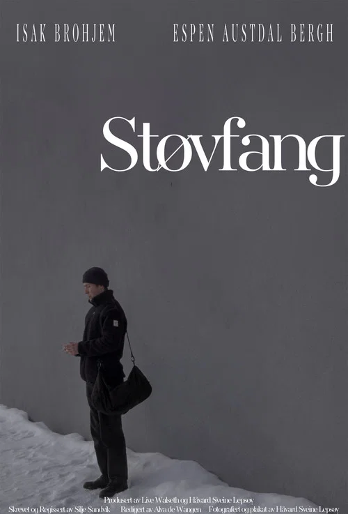 Støvfang постер