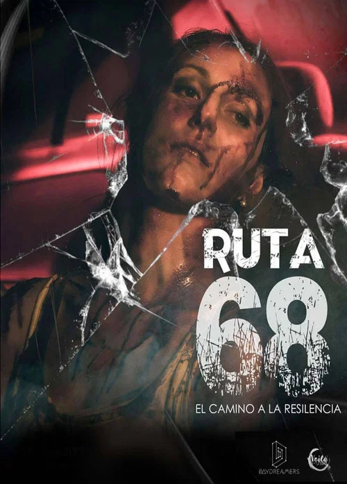 Ruta 68 постер