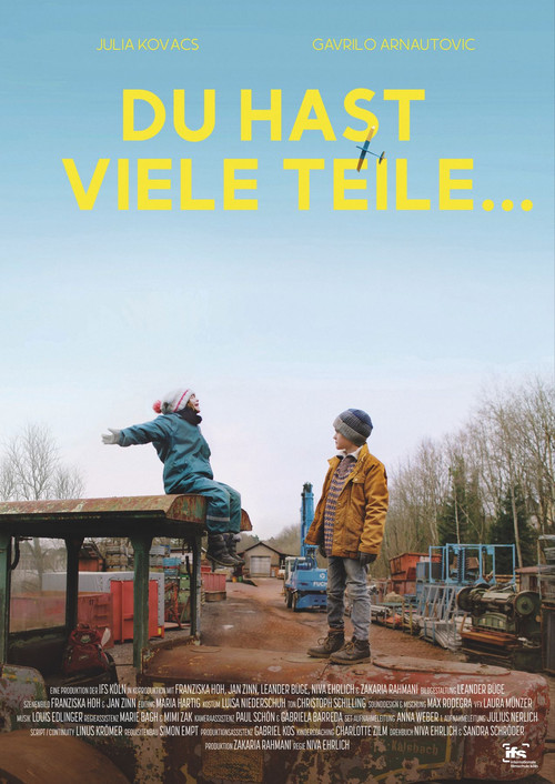 Du hast viele Teile… постер