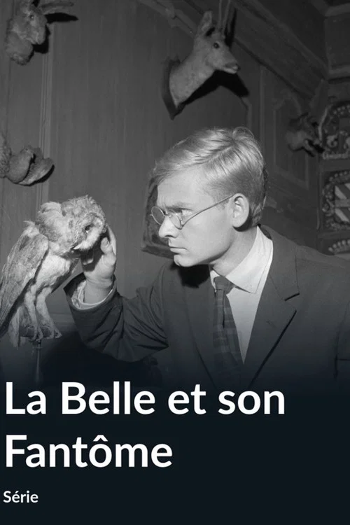 La Belle et son fantôme постер