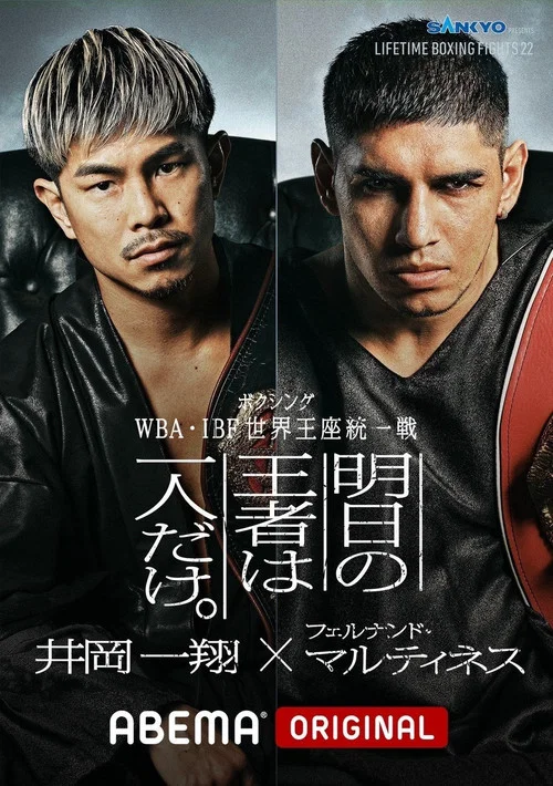 LIFETIME BOXING FIGHTS 22 постер