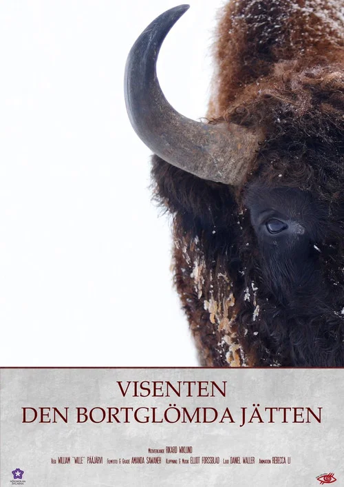 Visenten - Den Bortglömda Jätten постер