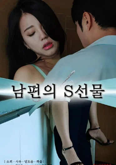 남편의 S선물 постер