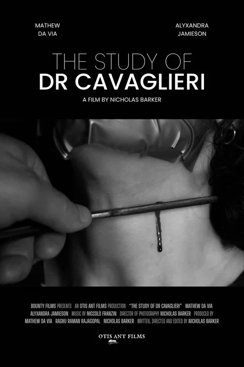 The Study of Dr Cavaglieri постер