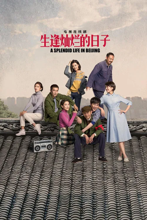 生逢灿烂的日子 постер