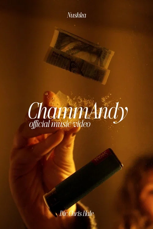 ChammAndy постер