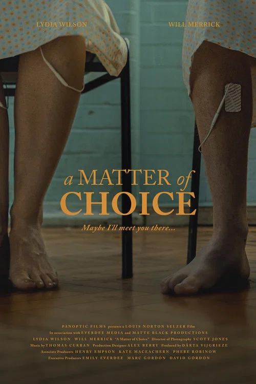 A Matter of Choice постер