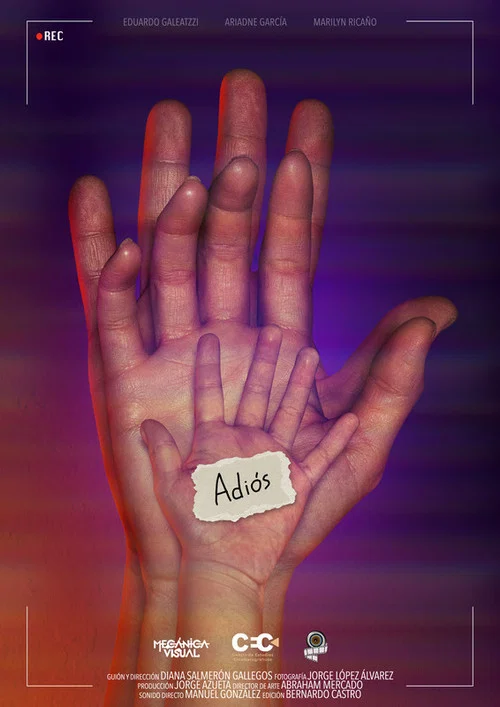 Adiós постер