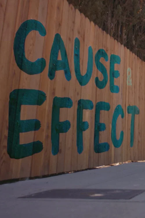 Cause & Effect постер
