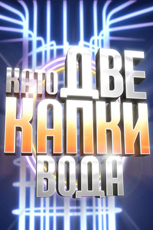 Като две капки вода постер