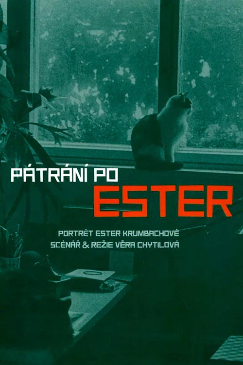 Pátrání po Ester постер