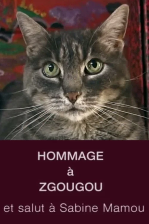 Hommage à Zgougou (et salut à Sabine Mamou) постер