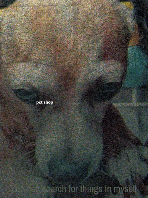 Tienda de perros постер