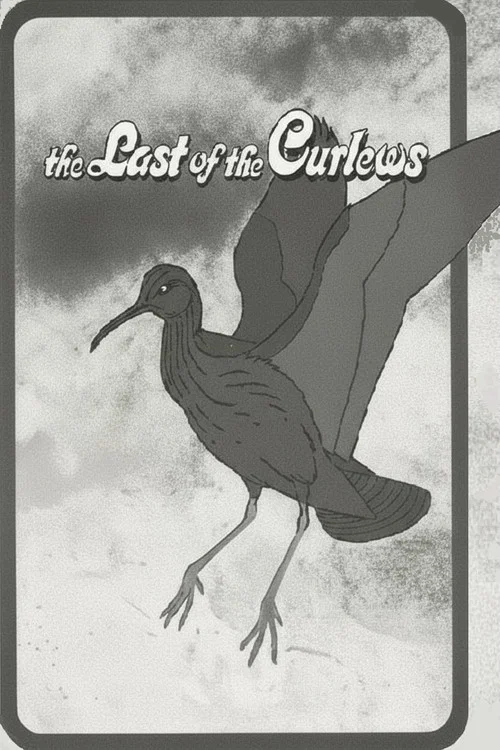 The Last of the Curlews постер