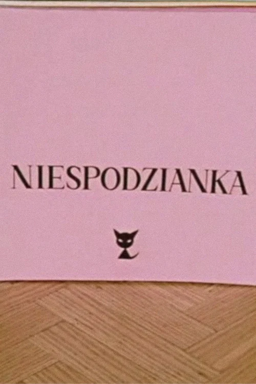 Niespodzianka постер