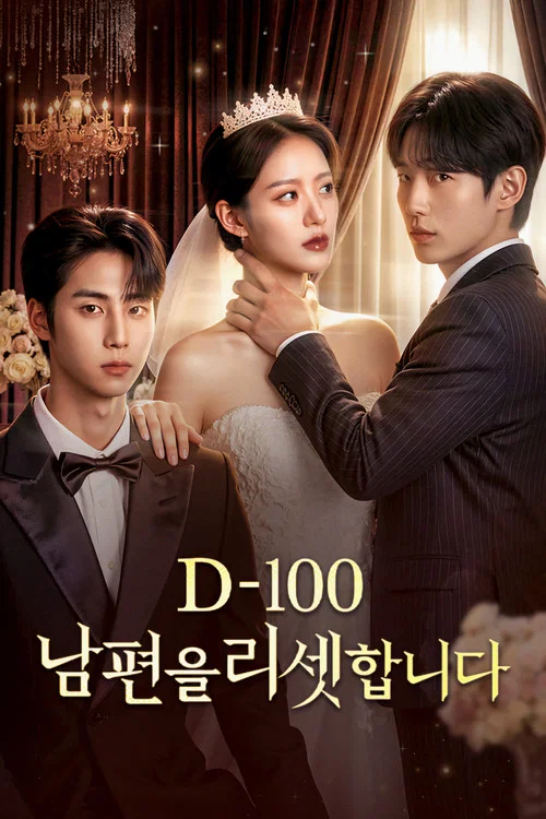 D-100 남편을 리셋합니다 постер
