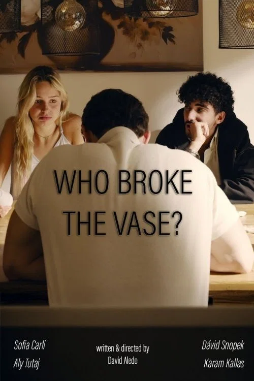 Who broke the vase? постер