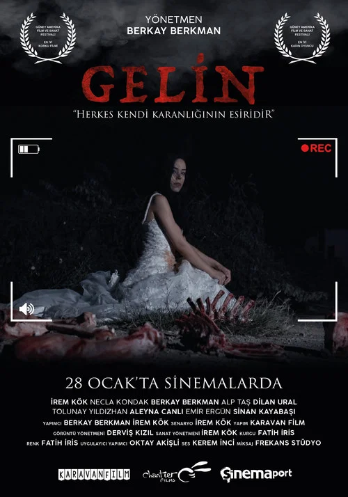 Gelin постер