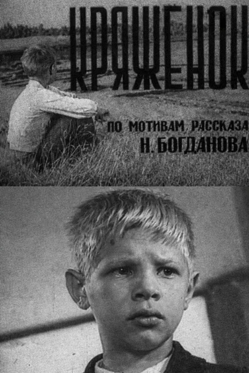 Кряжёнок постер