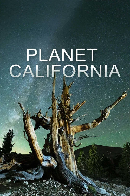 Planet California постер