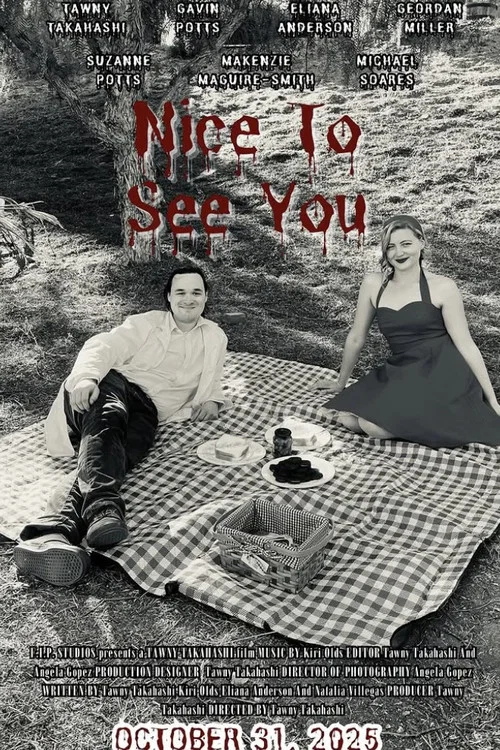 Nice to See You постер