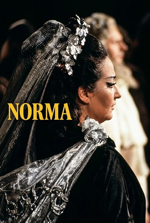 Norma постер