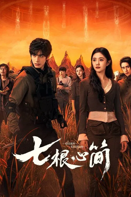 七根心简 постер