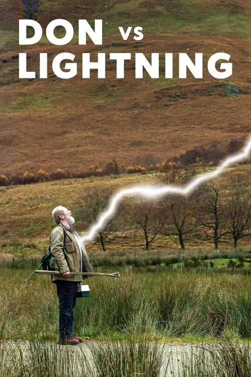 Don vs Lightning постер