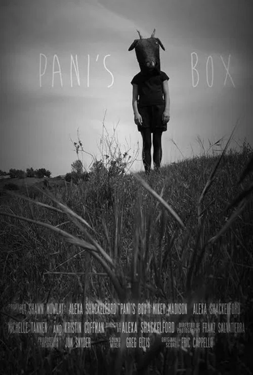 Pani's Box постер