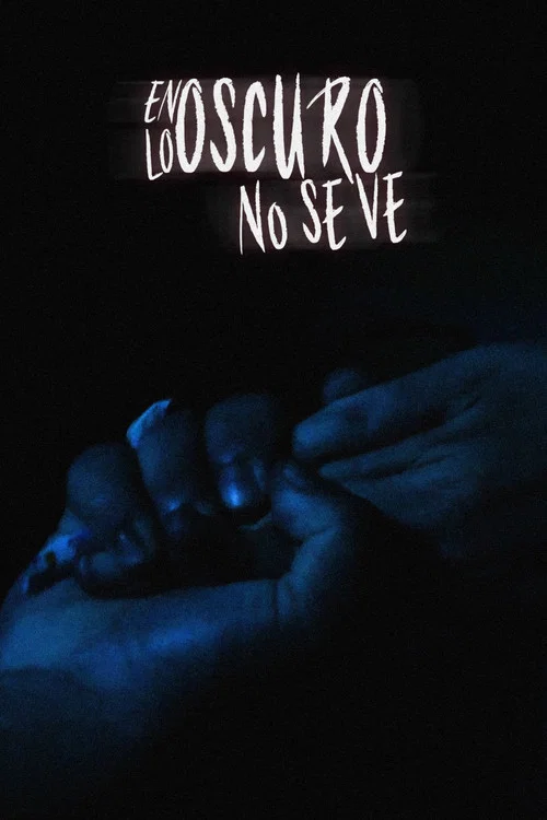 En lo oscuro no se ve постер