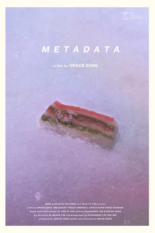 Metadata постер