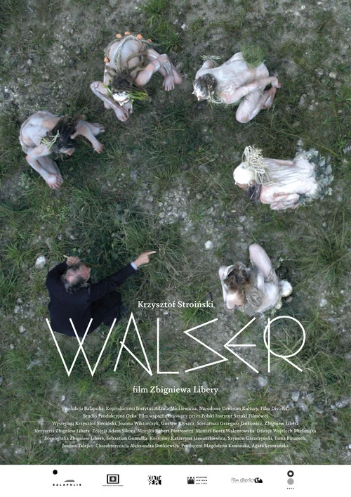 Walser постер