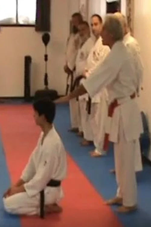 Inauguration of the 60th Shodan постер