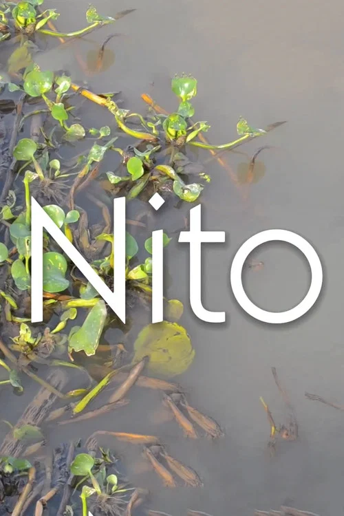 Nito постер