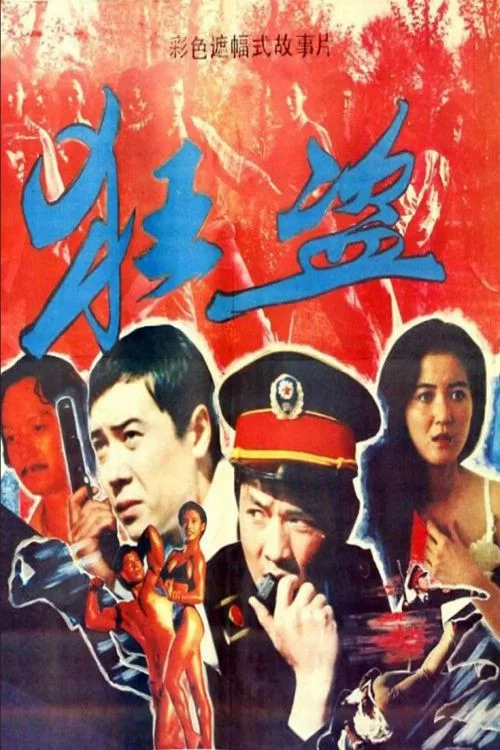 狂盗 постер