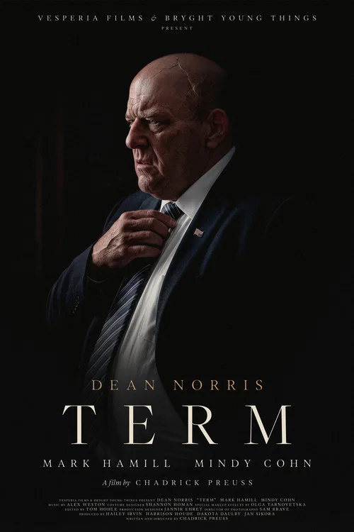TERM постер