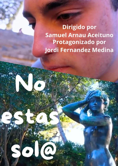 No estás sol@ постер