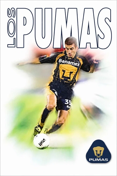 40 años de los Pumas постер