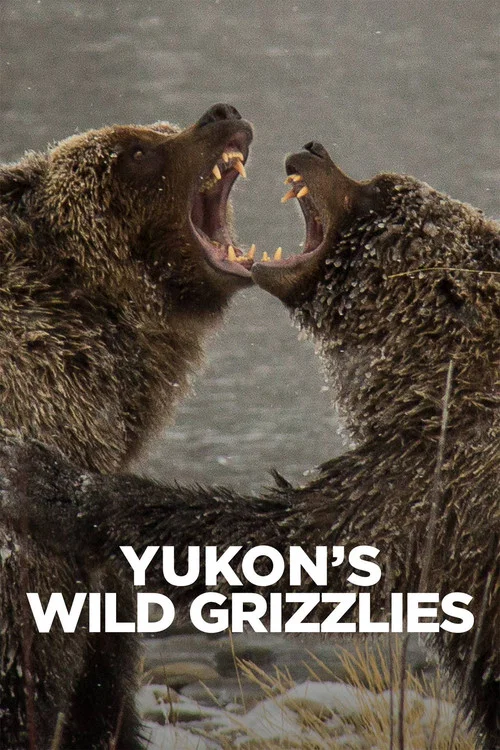 Yukon's Wild Grizzlies постер