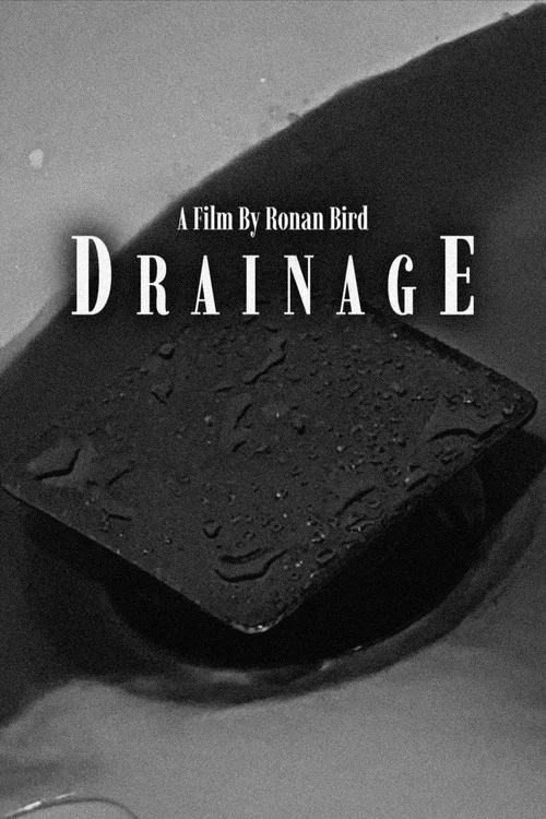 Drainage постер