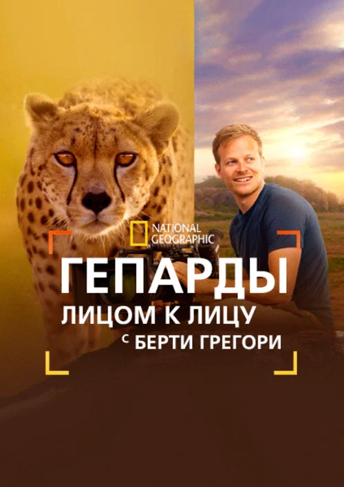 Гепарды: лицом к лицу с Берти Грегори постер