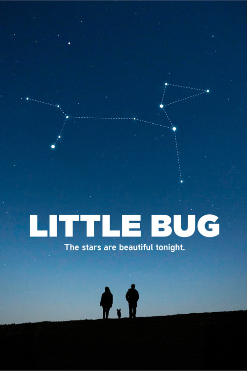 Little Bug постер
