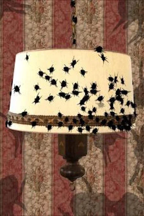 Lamp постер