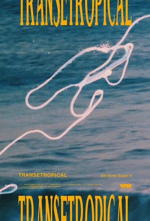 Transetropical постер