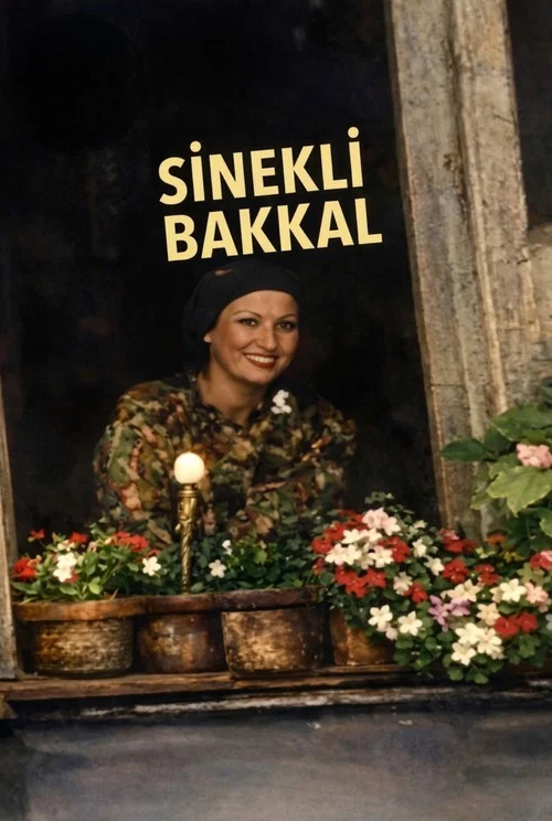 Sinekli Bakkal постер
