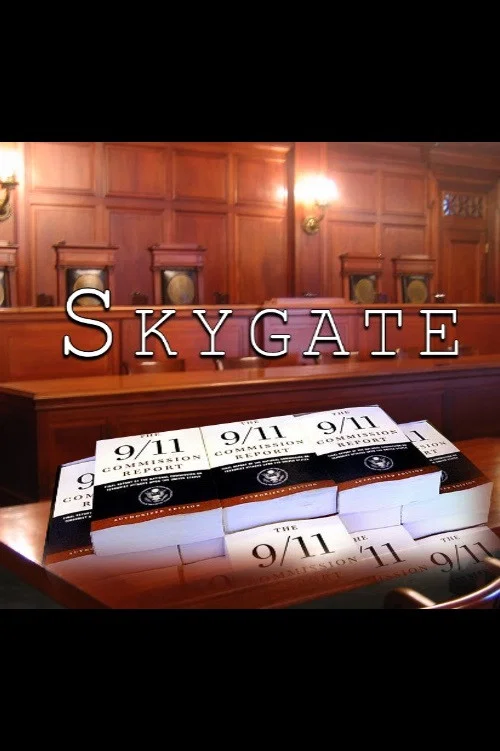 Skygate 911 постер