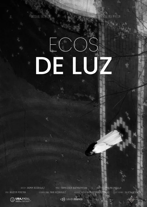 Ecos de luz постер