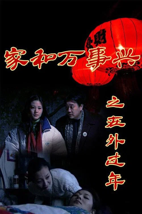 家和万事兴之在外过年 постер